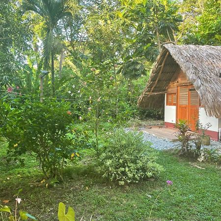 Cabanas Tucan Eco Hotel Capurgana Luaran gambar