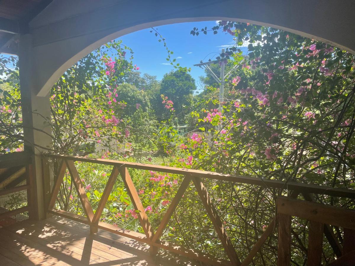 Cabanas Tucan Eco Hotel Capurgana Luaran gambar