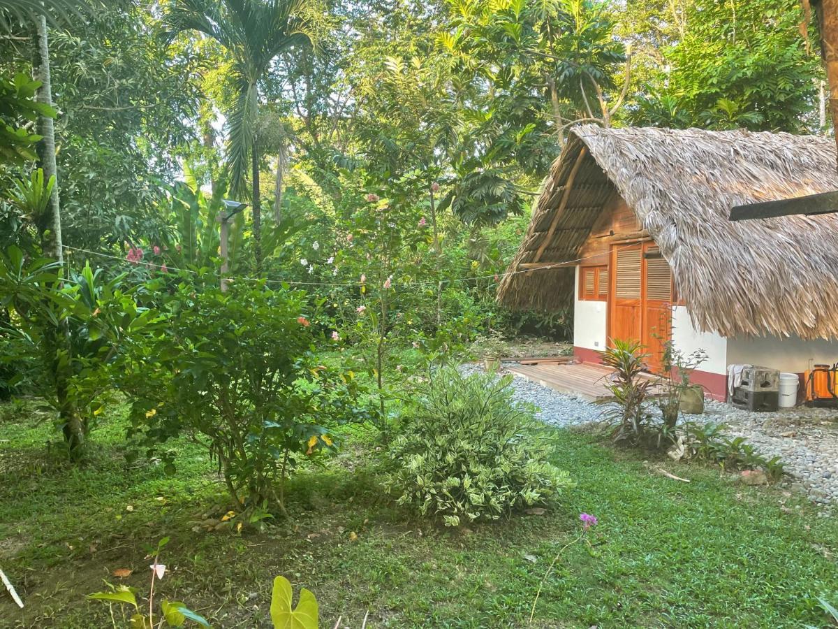 Cabanas Tucan Eco Hotel Capurgana Luaran gambar