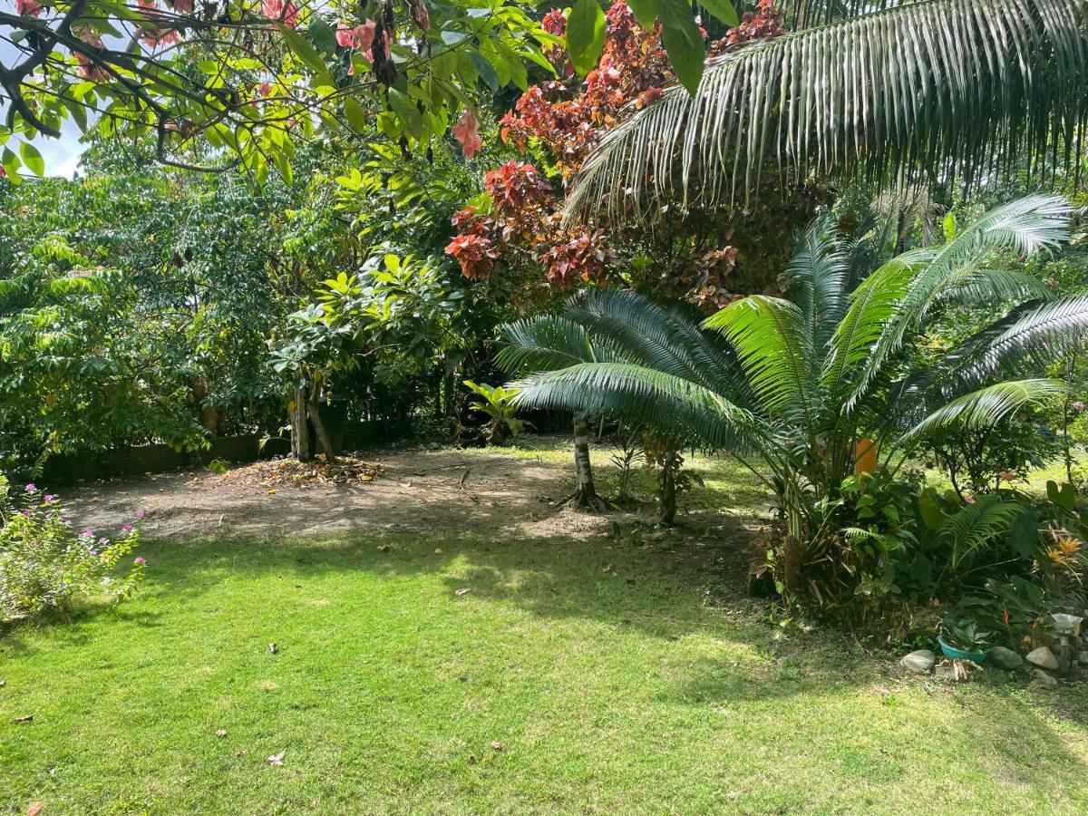 Cabanas Tucan Eco Hotel Capurgana Luaran gambar