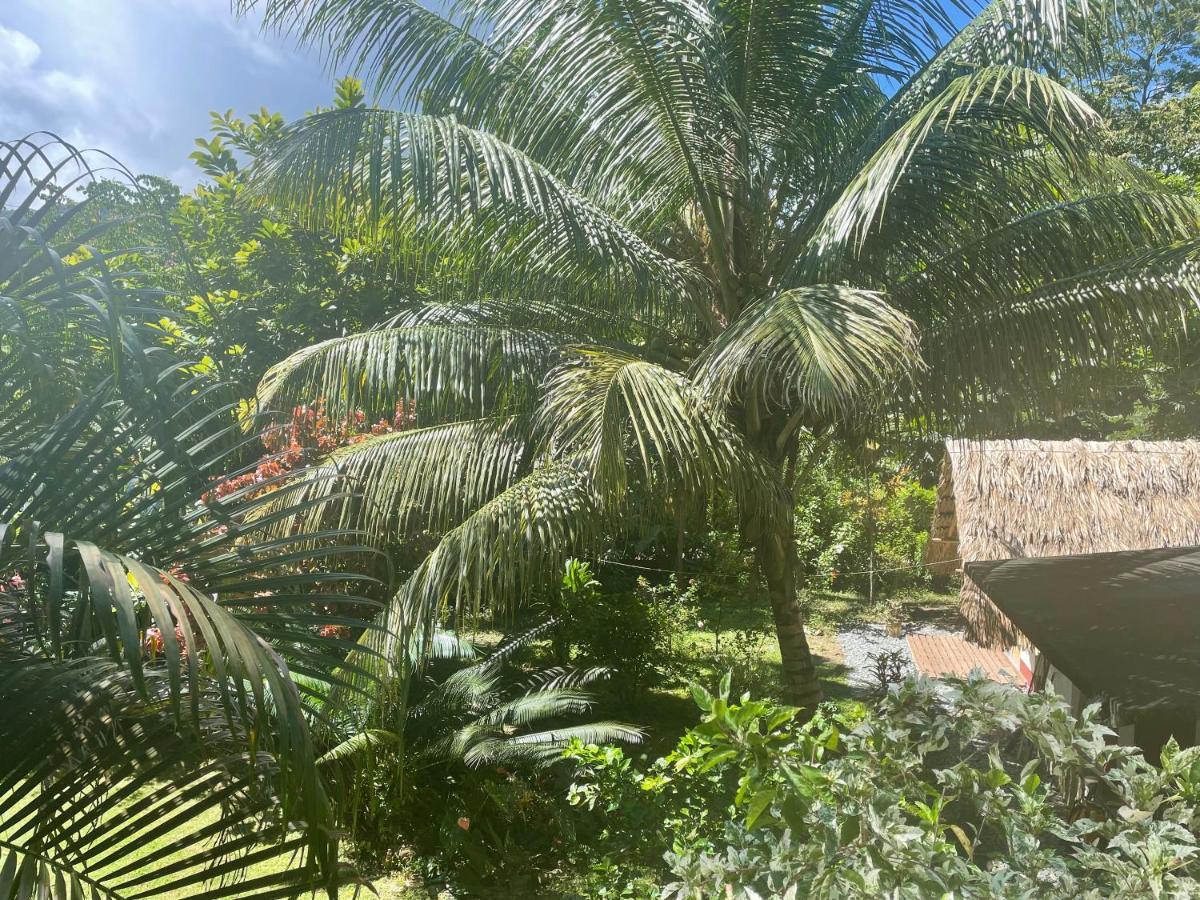 Cabanas Tucan Eco Hotel Capurgana Luaran gambar